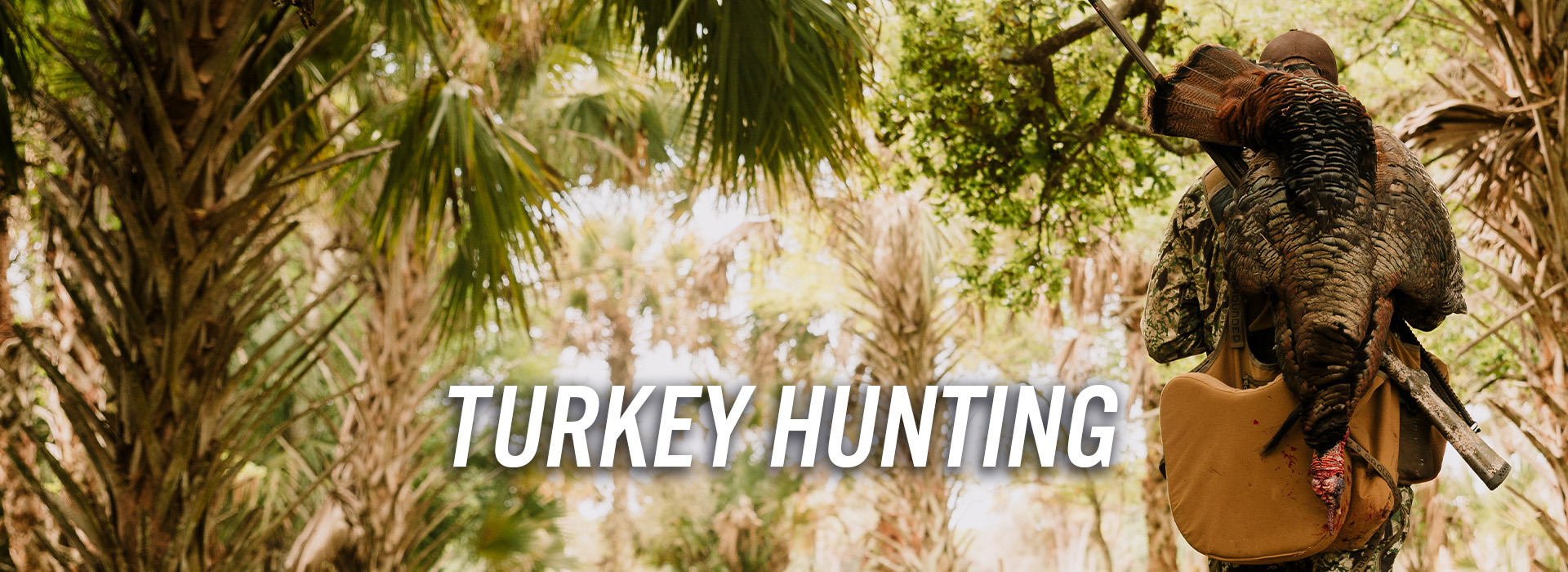 Turkey Hunting