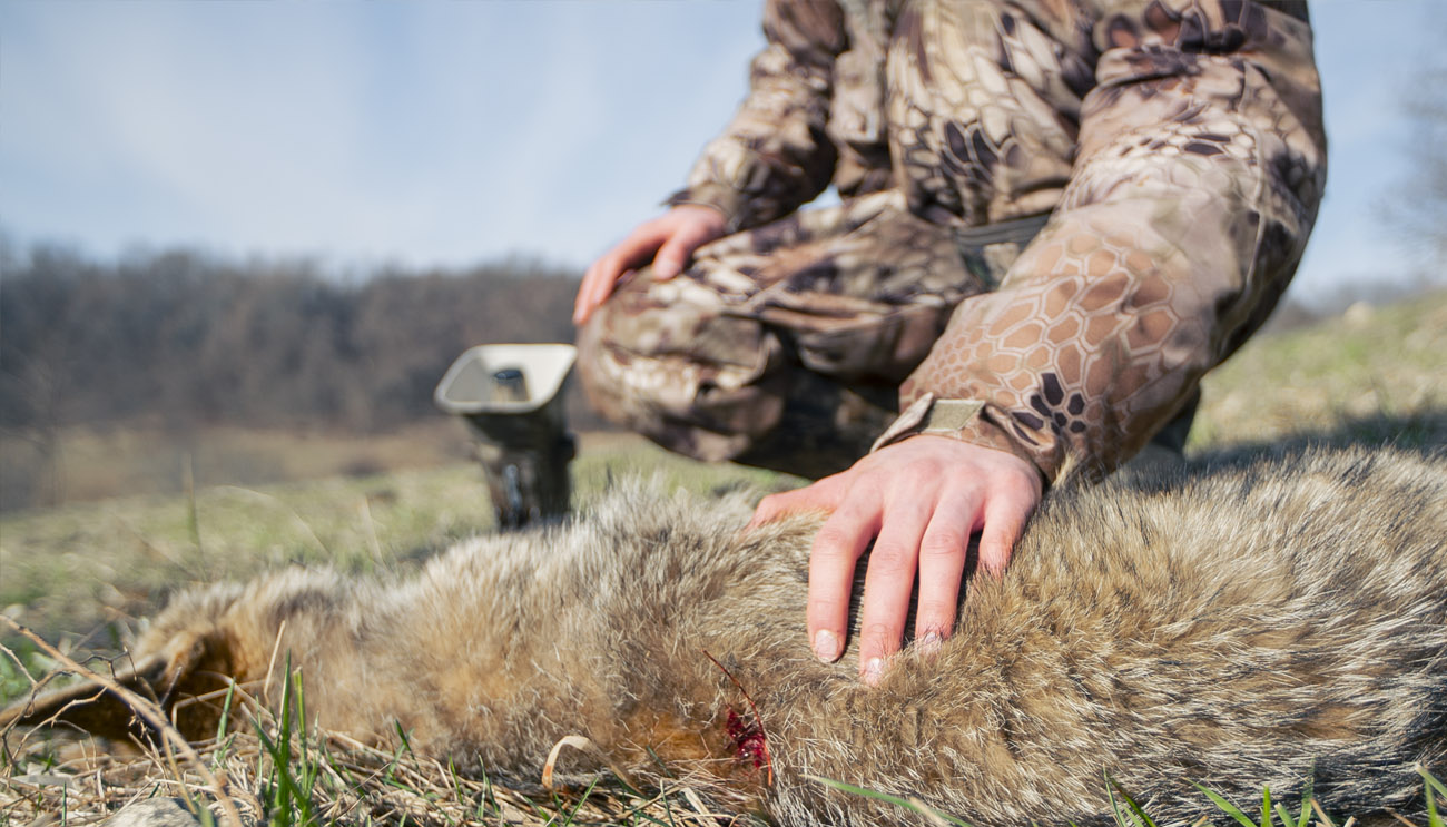 FOXPRO - Products - Predator Category