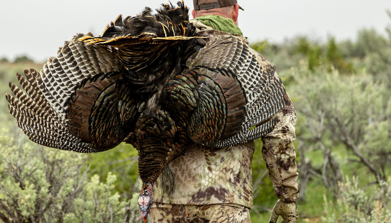 A hunter with a harvested turkey slung over his shoulder.