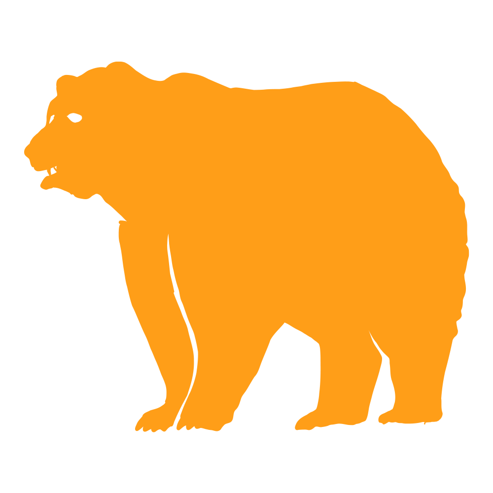 Bear icon