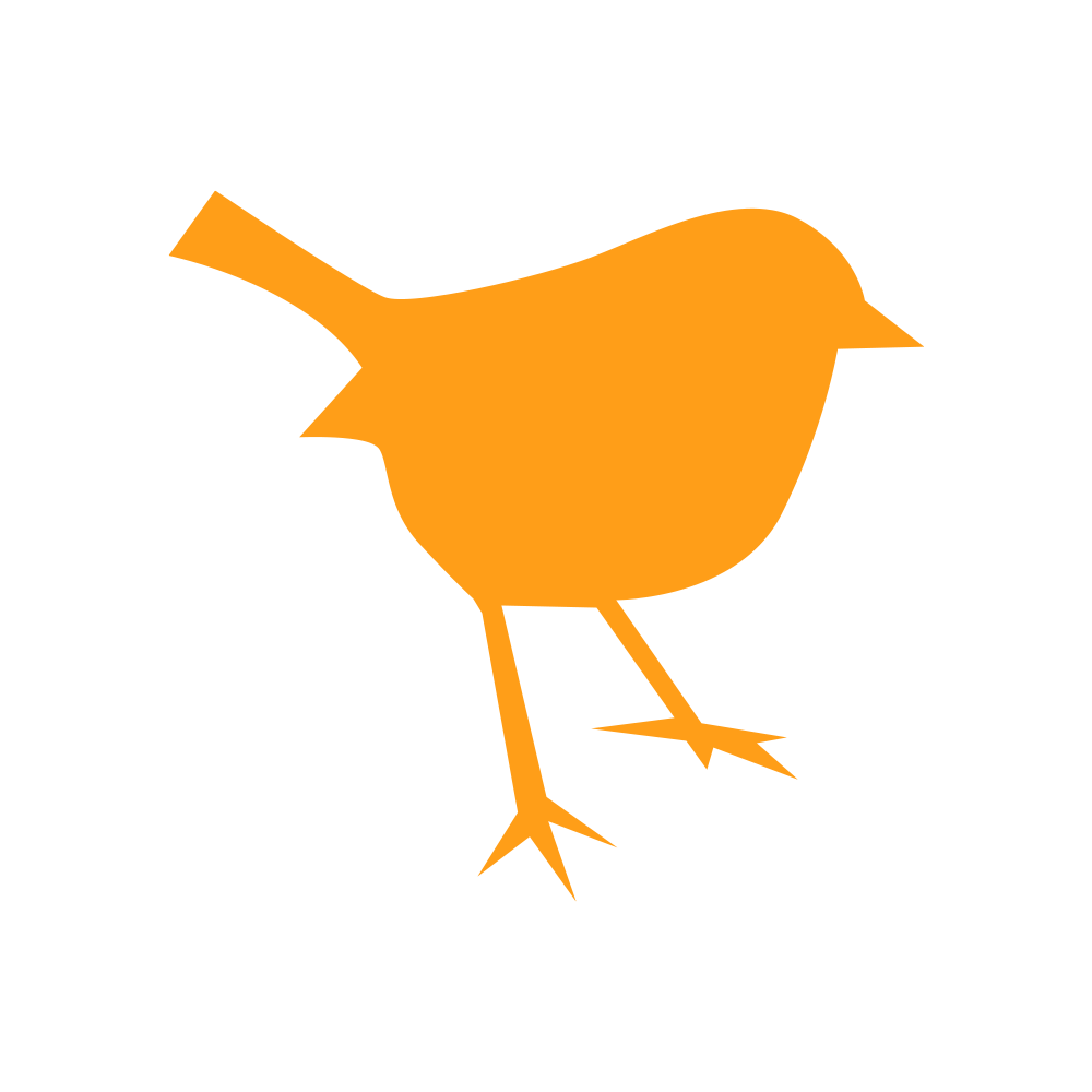 bird icon