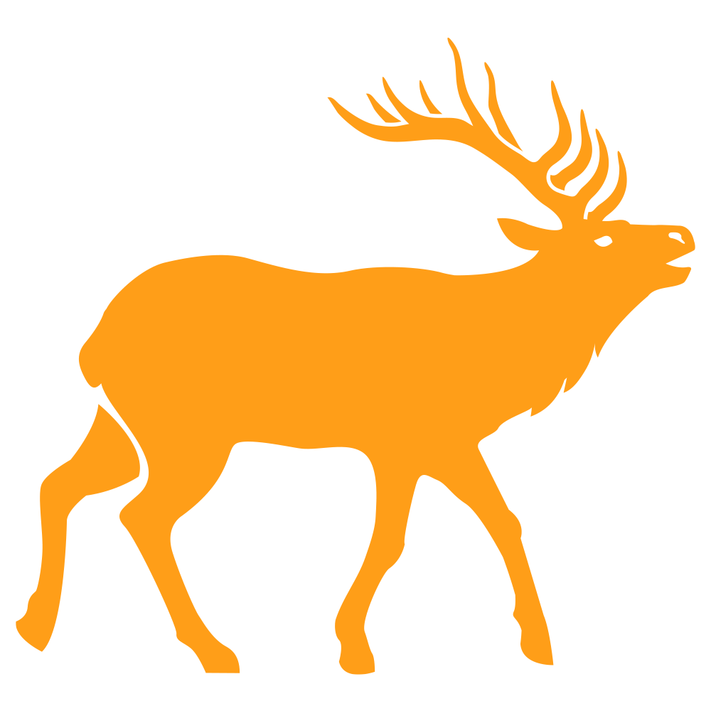 Deer Family: Elk icon