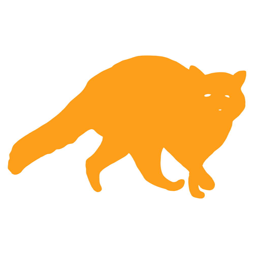 raccoon icon