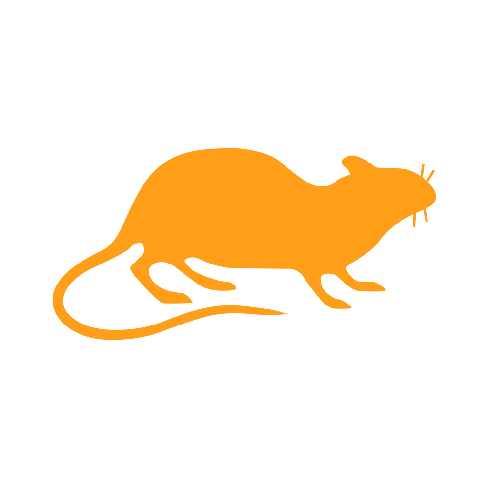 rodent icon