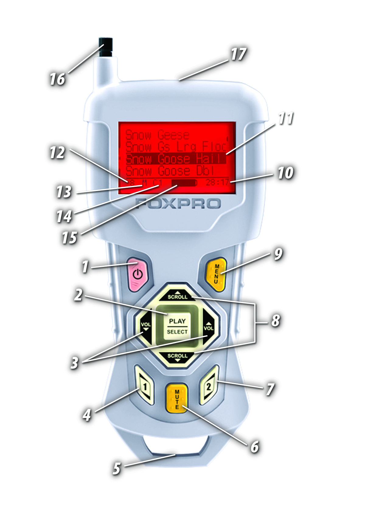 TX433 Overview