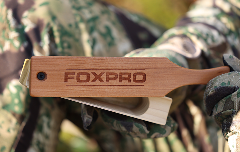 Poplar Box product image