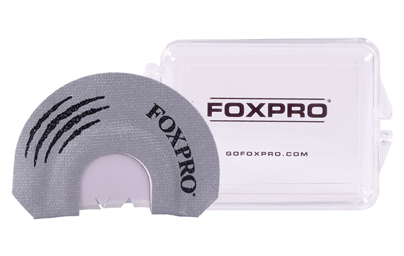 Raccoon product image