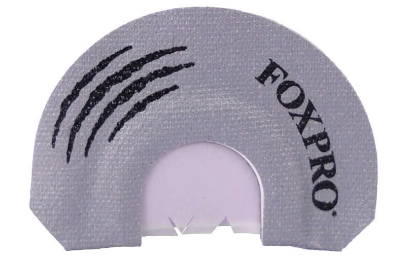 Raccoon product image