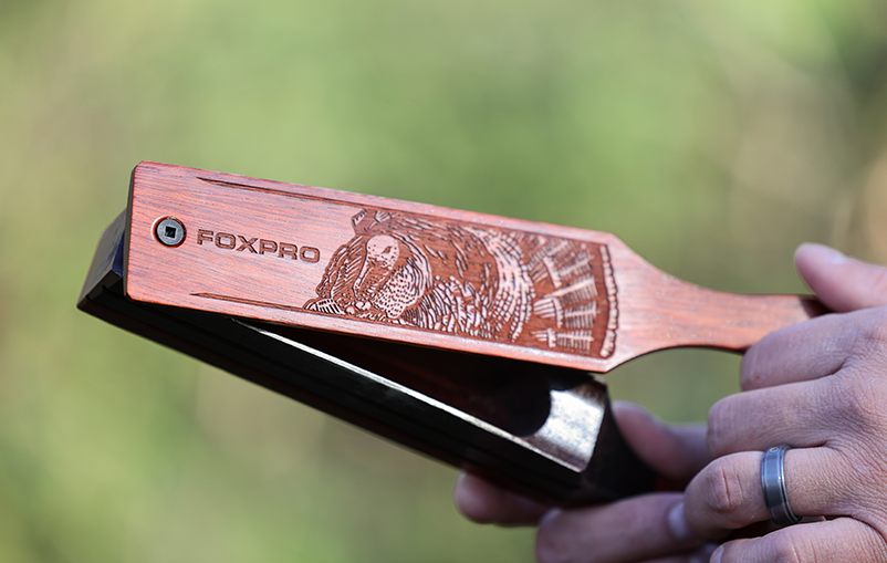 Thermally Modified Poplar w/Bloodwood Paddle product image