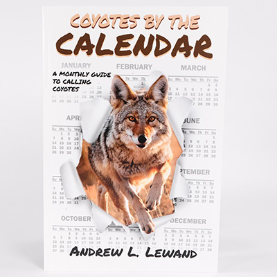 coyotes-by-the-calendar-andrew-lewand 1