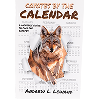 Coyotes by the Calendar : Author Andrew Lewand
