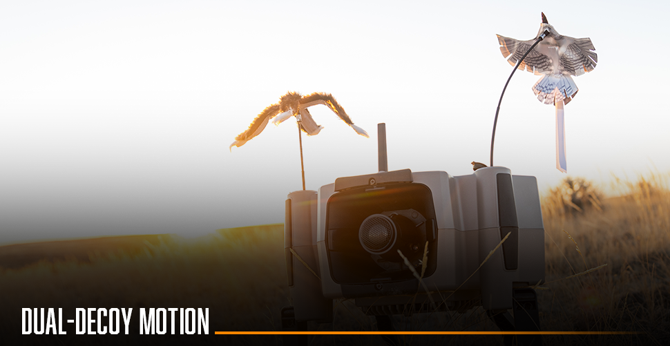dual motion decoy