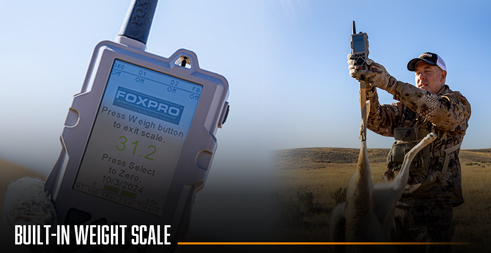 tx2000 weight scale