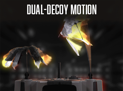 decoys in motion