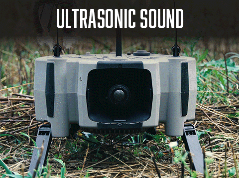 ultrasonic sound depiction